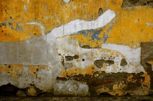 WS Walls - 19.jpg